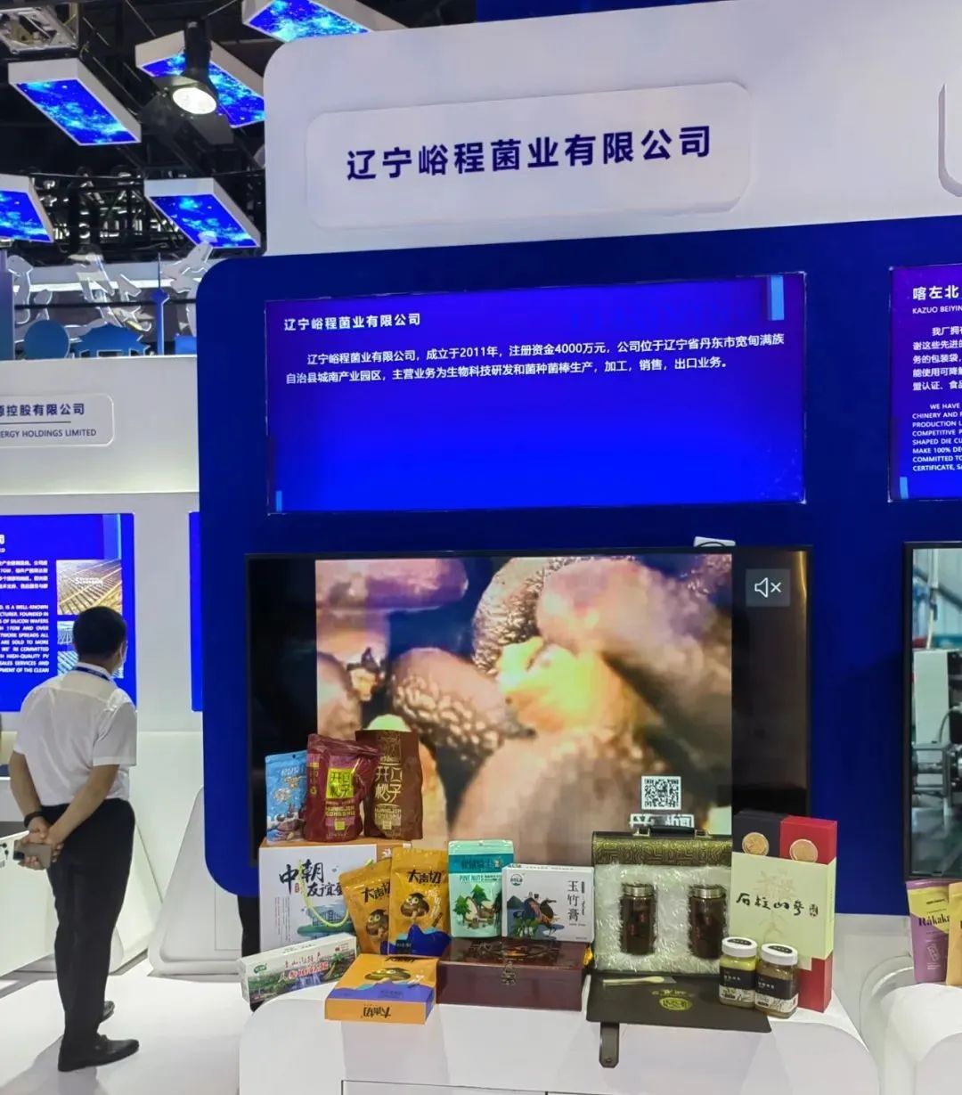 丹东企业走进东博会 共享RCEP新机遇与实业投资新蓝海